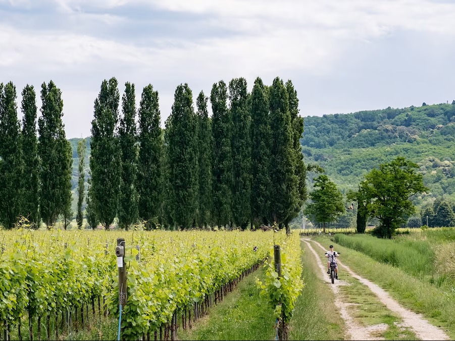 Workforce and job preparation